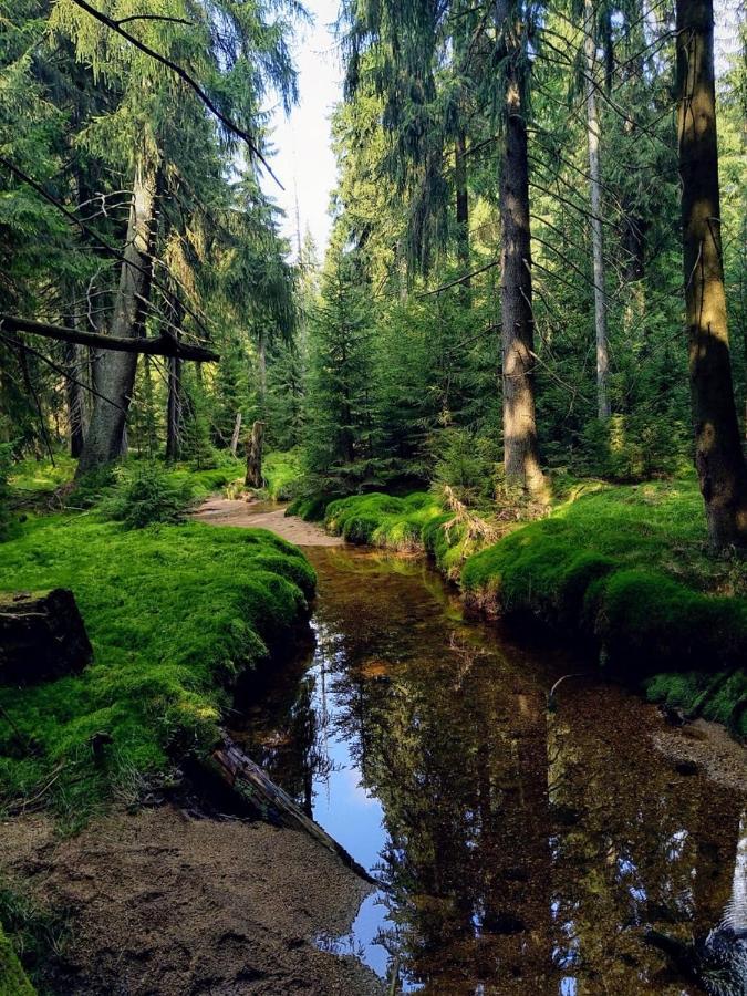 Apartmány Paseky - Jablonec nad Nisou Esterno foto